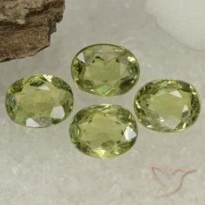 Pedras preciosas de Granada demantóide Verde oliva natural de 1.47 ct, oval, VS