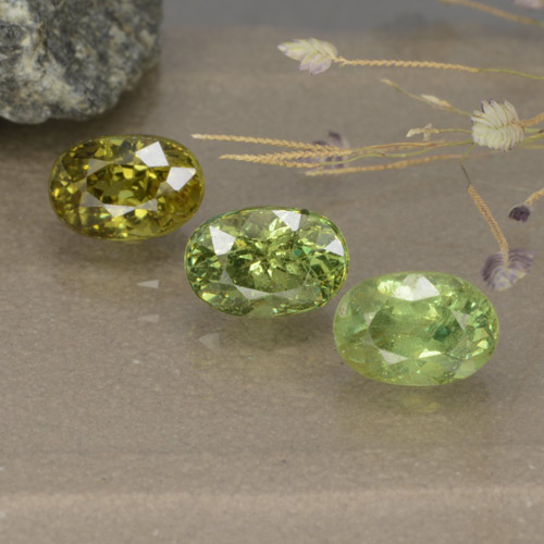 Pedras preciosas de Granada demantóide Verde Floresta Claro natural de 2.68 ct, Corte Oval, VS-SI