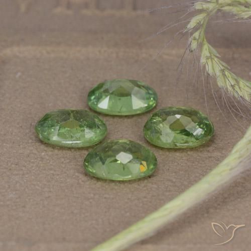 Pedras preciosas de Granada demantóide Verde floresta natural de 2.56 ct, oval, VS-SI