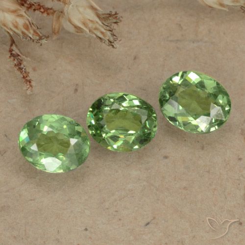 1.00ctw Natural Verde Floresta Claro Granada demantóide, oval, VS-SI