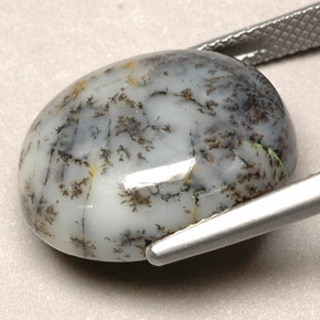 Ágata dendrítica multicolorido natural 12,90ct, corte oval, opaco