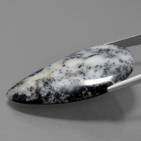 Ágata dendrítica multicolorido natural 57,71ct, formato de pêra, opaco