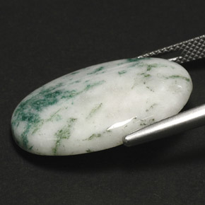 Ágata dendrítica multicolorido natural 17,11ct, corte oval, opaco