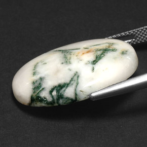 Ágata dendrítica multicolorido natural 17,43ct, corte oval, opaco