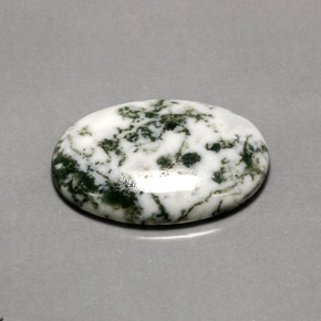 Ágata dendrítica multicolorido natural 16,20ct, corte oval, opaco