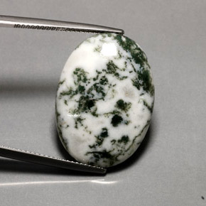 Ágata dendrítica multicolorido natural 16,20ct, corte oval, opaco