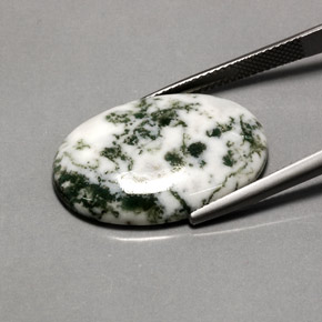 Ágata dendrítica multicolorido natural 16,20ct, corte oval, opaco