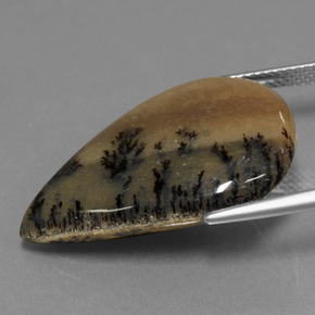 Ágata Dendrítica Multicolorido Natural 19.92ct, Formato de pêra, Opaco