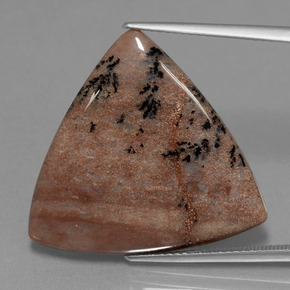 Ágata dendrítica multicolorido natural 19,37ct, trillion, opaco