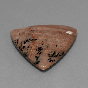 Ágata dendrítica multicolorido natural 19,37ct, trillion, opaco