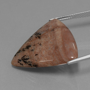 Ágata dendrítica multicolorido natural 19,37ct, trillion, opaco