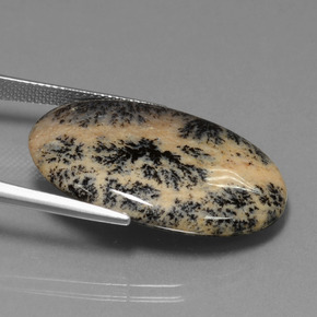 Ágata Dendrítica Multicolorido Natural 25.50ct, Corte Oval, Opaco