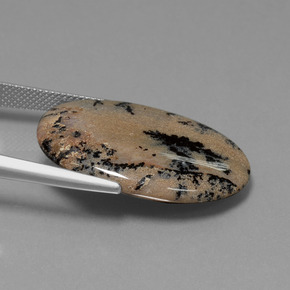 Ágata dendrítica multicolorido natural 21,34ct, corte oval, opaco