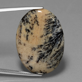 Ágata dendrítica multicolorido natural 23,90ct, corte oval, opaco