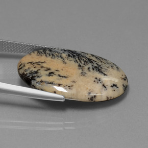 Ágata dendrítica multicolorido natural 23,90ct, corte oval, opaco