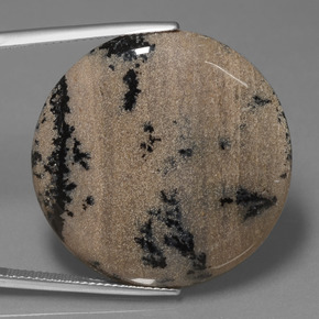 Ágata dendrítica multicolorido natural 36,61ct, corte redondo, opaco