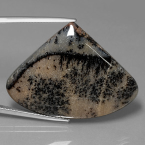 Ágata dendrítica multicolorido natural 44,44ct, forma extravagante, opaco