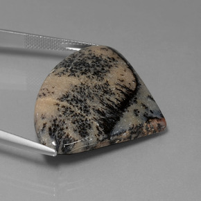 Ágata dendrítica multicolorido natural 44,44ct, forma extravagante, opaco