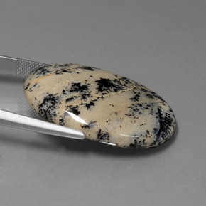 Ágata dendrítica multicolorido natural 36,51ct, corte oval, opaco