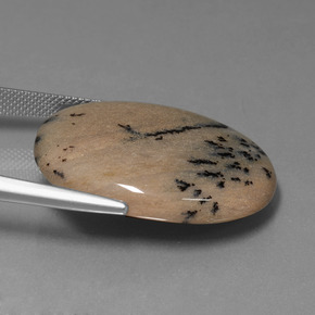 Ágata Dendrítica Multicolorido Natural 35.89ct, Corte Oval, Opaco