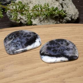 Pedras preciosas de ágata dendrítica multicolorido natural de 88,35 ct, forma extravagante, translúcido
