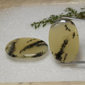 Pedras preciosas de ágata dendrítica multicolorido natural de 56,92 ct, corte oval, translúcido