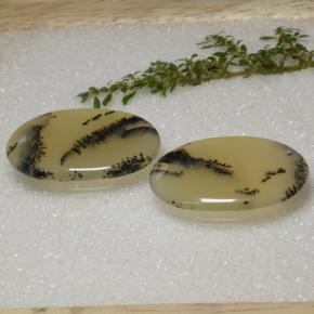 Pedras preciosas de ágata dendrítica multicolorido natural de 56,92 ct, corte oval, translúcido