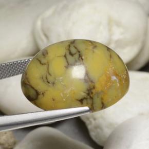 Ágata dendrítica multicolorido natural 30,23ct, corte oval, opaco
