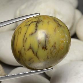 Ágata dendrítica multicolorido natural 35,24ct, corte oval, opaco