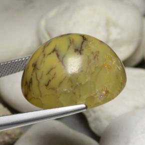 Ágata dendrítica multicolorido natural 35,24ct, corte oval, opaco