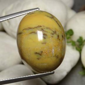 Ágata Dendrítica Multicolorido Natural 27.27ct, Corte Oval, Opaco