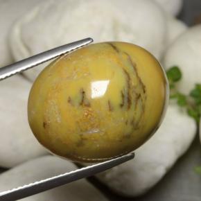 Ágata Dendrítica Multicolorido Natural 27.27ct, Corte Oval, Opaco