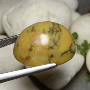 Ágata Dendrítica Multicolorido Natural 27.27ct, Corte Oval, Opaco