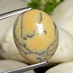 Ágata dendrítica multicolorido natural 6,18ct, corte oval, opaco
