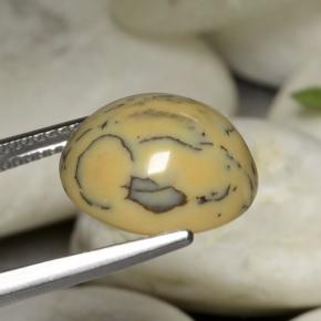 Ágata dendrítica multicolorido natural 6,05ct, corte oval, opaco