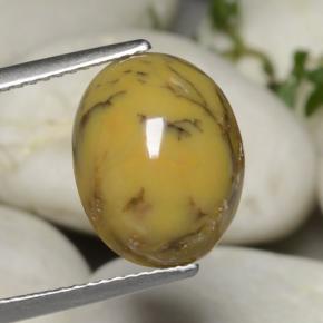 Ágata dendrítica multicolorido natural 5,40ct, corte oval, opaco