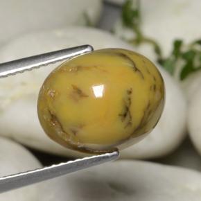 Ágata dendrítica multicolorido natural 5,40ct, corte oval, opaco