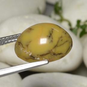 Ágata dendrítica multicolorido natural 5,40ct, corte oval, opaco