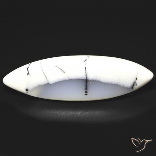 Ágata Dendrítica branco com preto Natural 19.93ct, Marquesa, Translúcido