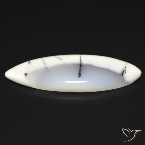 Ágata Dendrítica branco com preto Natural 19.93ct, Marquesa, Translúcido