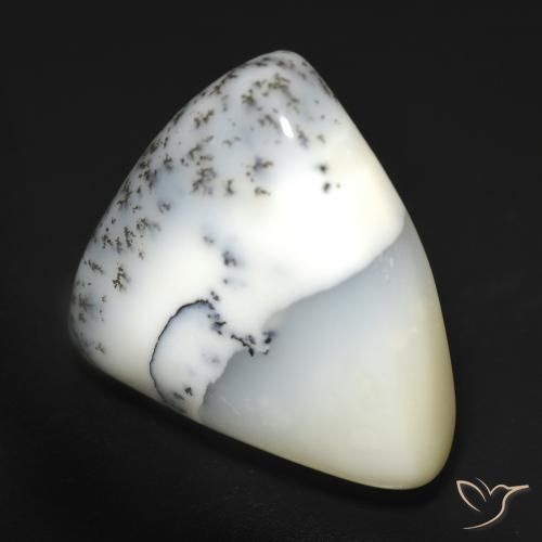 Ágata Dendrítica branco com preto Natural 12.51ct, Trilhão, Translúcido
