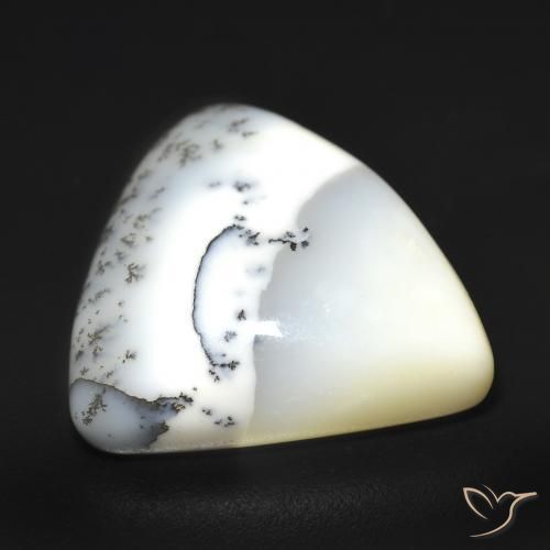 Ágata Dendrítica branco com preto Natural 12.51ct, Trilhão, Translúcido