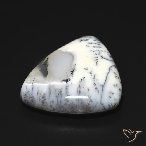Ágata Dendrítica branco com preto Natural 9.21ct, Trilhão, Opaco