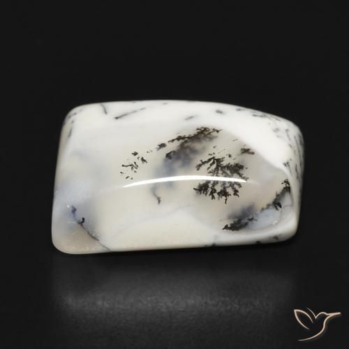 Ágata Dendrítica branco com preto Natural 10.55ct, Chique, Opaco