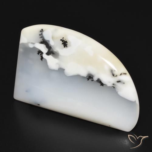 Ágata Dendrítica branco com preto Natural 21.77ct, Chique, Opaco