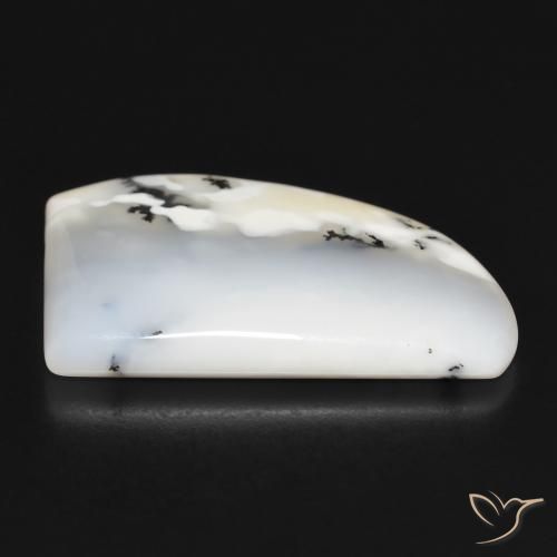 Ágata Dendrítica branco com preto Natural 21.77ct, Chique, Opaco