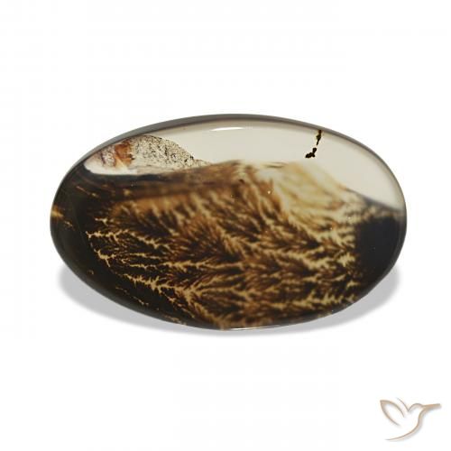 4.17ct Multicolorido Ágata Dendrítica, oval, Transparente