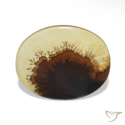 2.46ct Multicolorido Ágata Dendrítica, oval, Transparente