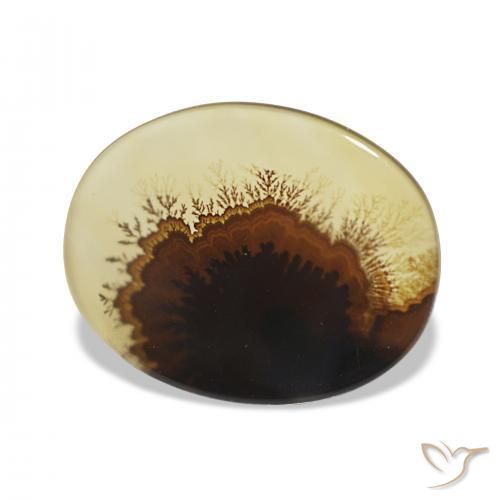 Ágata Dendrítica Multicolorido Natural 2.46ct, oval, Transparente