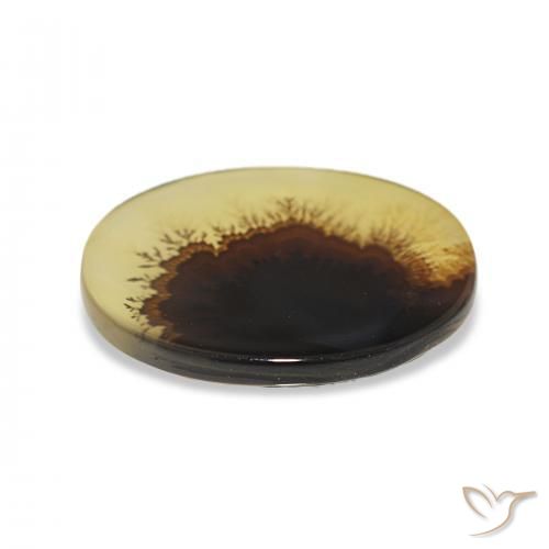Ágata Dendrítica Multicolorido Natural 2.46ct, oval, Transparente